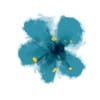 Lewis Ginter Botanical Garden Logo