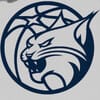 Minnesota Lynx Logo