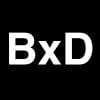 The Bronx Defenders Logo