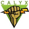 The Calyx Institute Logo